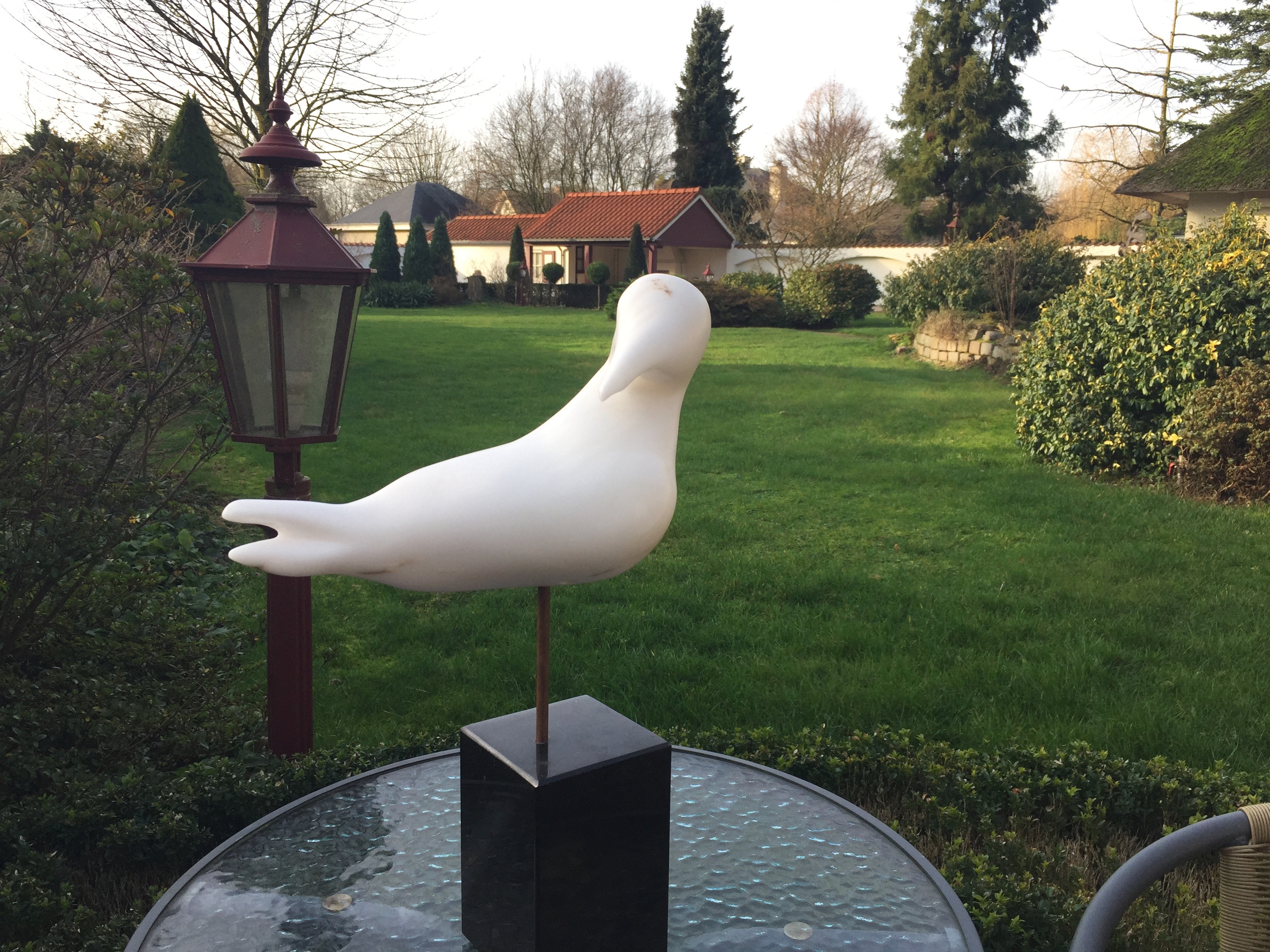 bird